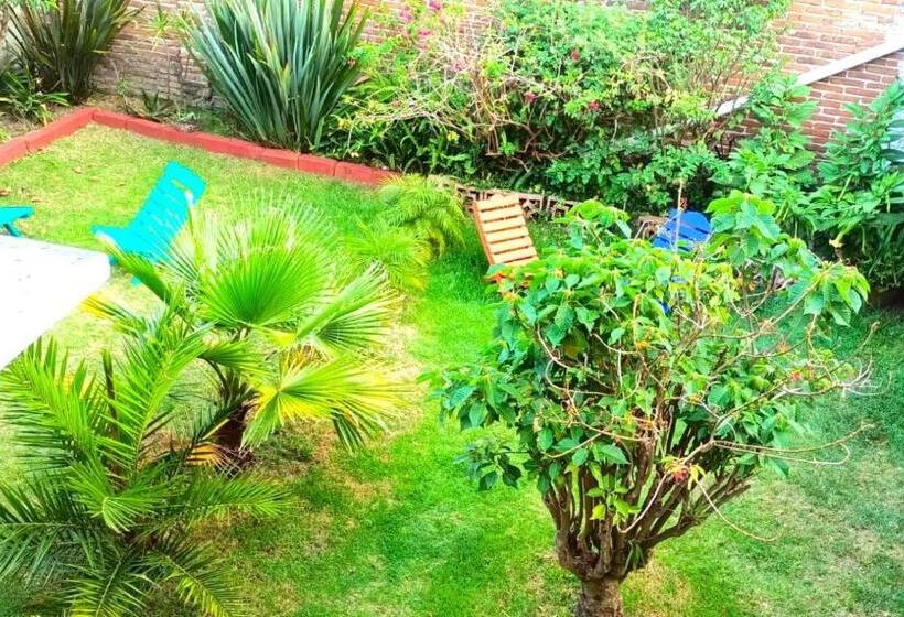سوییت با چشم‌انداز کوه, Casa Flor De Vida