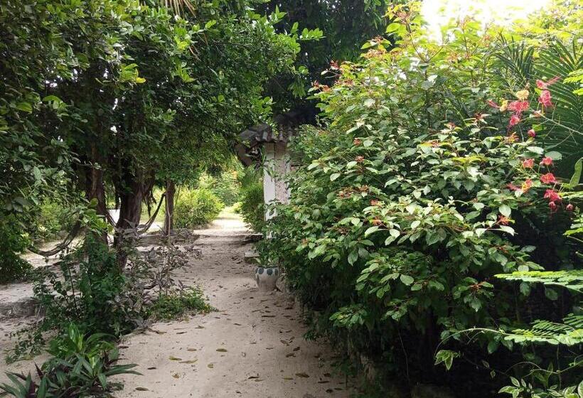 Номер Стандарт, Bwejuu Garden View Bungalows