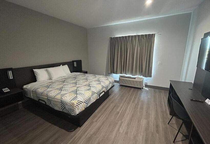 带大床的豪华间, Motel 6 Dallas, Tx Methodist Charlton Medical Ctr