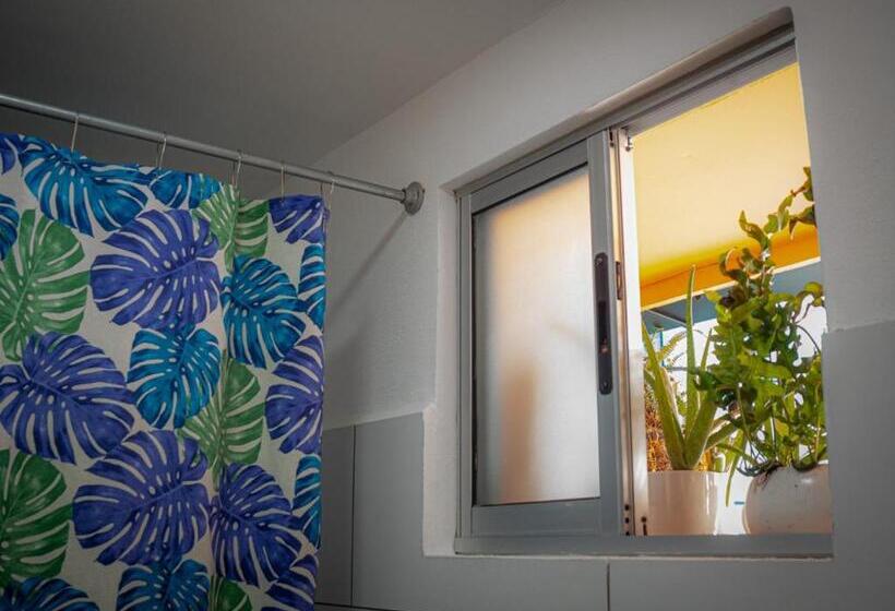 浴室共有スタンダード４人用ルーム, Lolas Hostal, Habitacion Exclusiva Para Mujeres, 2 Camarotes, Precio Por Cama