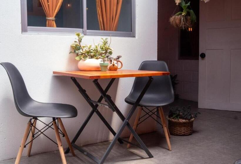 浴室共有スタンダード４人用ルーム, Lolas Hostal, Habitacion Exclusiva Para Mujeres, 2 Camarotes, Precio Por Cama