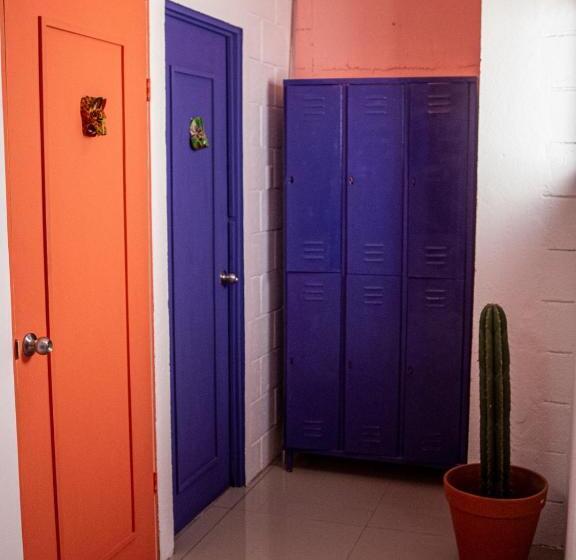 浴室共有スタンダード４人用ルーム, Lolas Hostal, Habitacion Exclusiva Para Mujeres, 2 Camarotes, Precio Por Cama