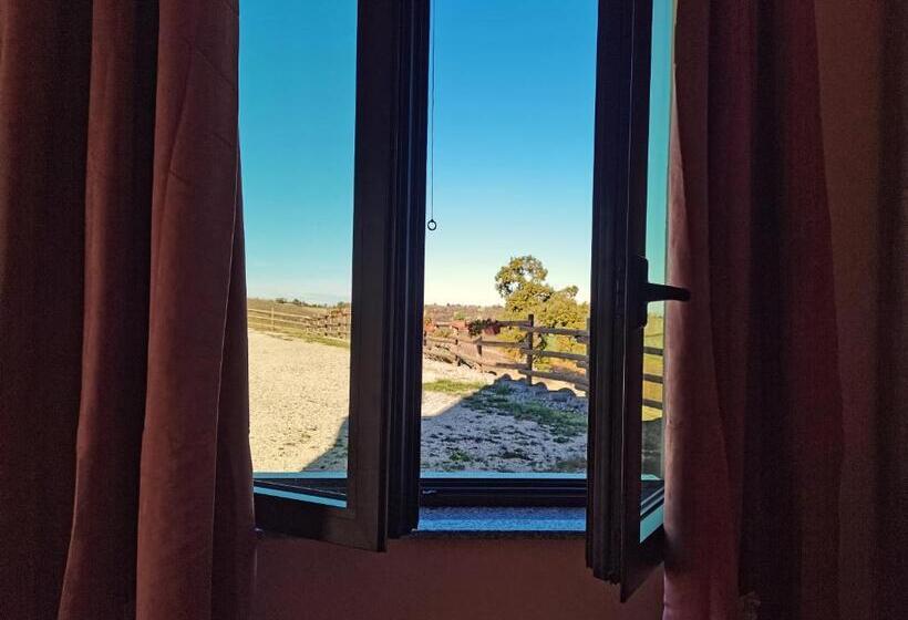 Номер Стандарт, Cantina Visconti   Agriturismo