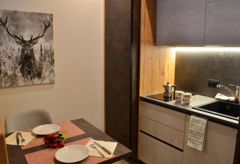 带阳台的豪华间, Aria Alpina Guest House Affittacamere