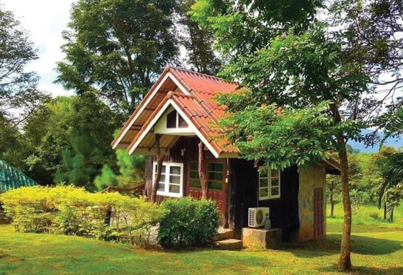 Номер Стандарт, Viewsuay Farsai Wangnamkaew