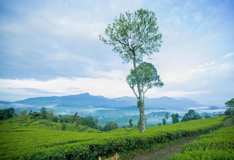 Номер Стандарт Вид на Горы, Wild Courtyard Wayanad Resort