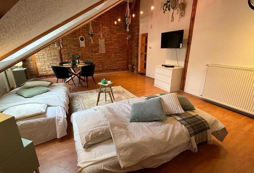 １ベッドルームアパートメント, Acme Apartments