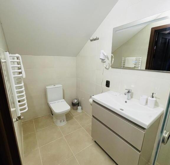Superior Appartement met 1 Slaapkamer, готель бережани