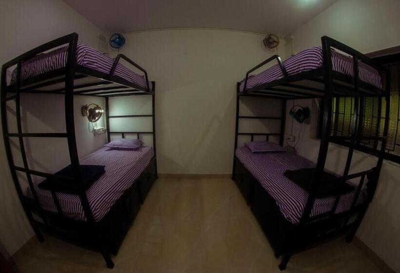共用房间的床, Bonds Hostel