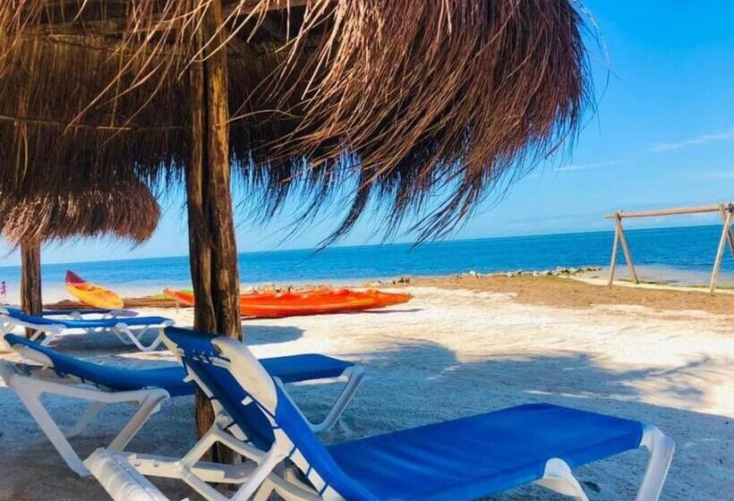 オーシャンビュースタンダードルーム, Cabañas Perla Escondida