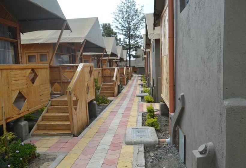 اتاق استاندارد یک تخته با بالکن, Kentwood Cabins And Camp