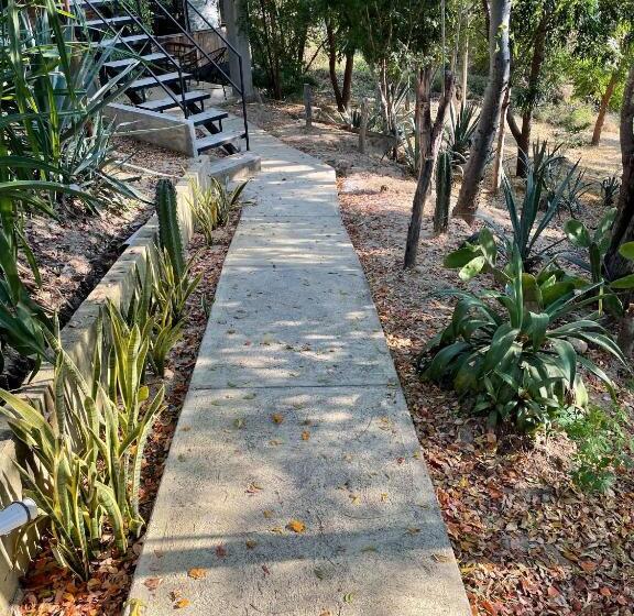 标准三人间, Room In House   Double Bed, Queen Size, Small Kitchen, Terrace, Wi Fi  Air Condition