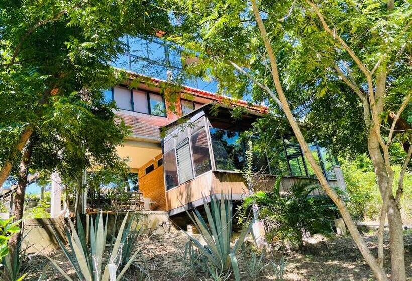 标准三人间, Room In House   Double Bed, Queen Size, Small Kitchen, Terrace, Wi Fi  Air Condition