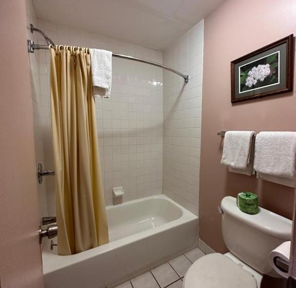 Стандартный Номер Кровать Кинг, The Starwood Inn