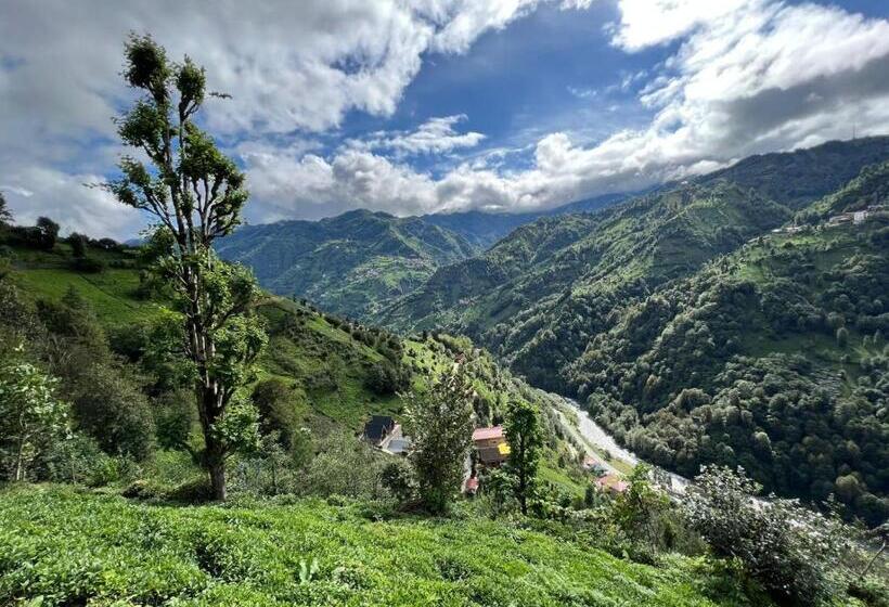 标准房带园景, Peruma Otel Bungalov