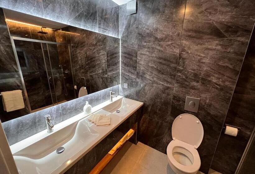 Номер Deluxe, Altstadt Hotel Schwanen