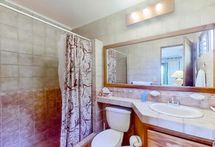 Апартаменты 1 Спальня, Bahia Pez Vela Villa Combo Units 18 And 19