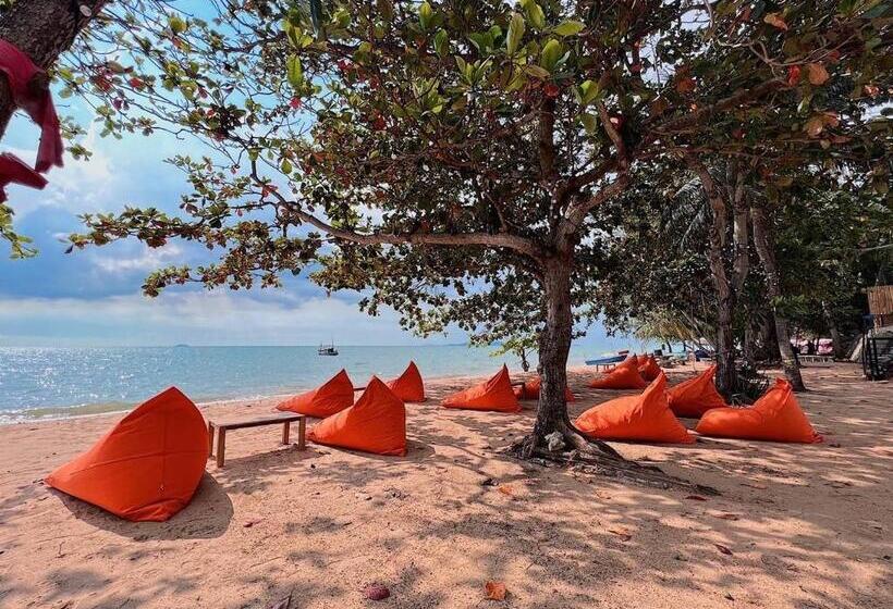 ویلای 1 خوابه با چشم‌انداز دریا, Dojo Poolvilla Beach Resort   Private Beach Villa