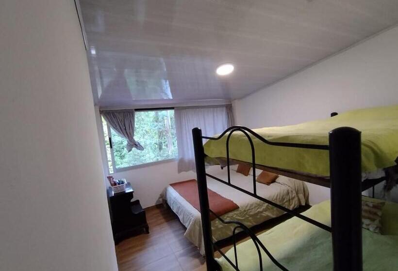 Номер Стандарт Трехместный, Casa Colibrí 202, 203, 204