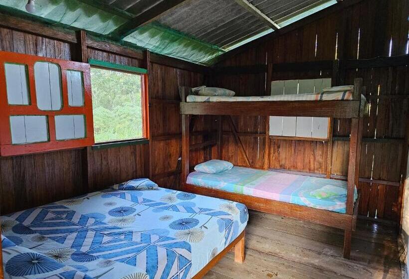 标准三人间, Hostal Bahía Solano Herping