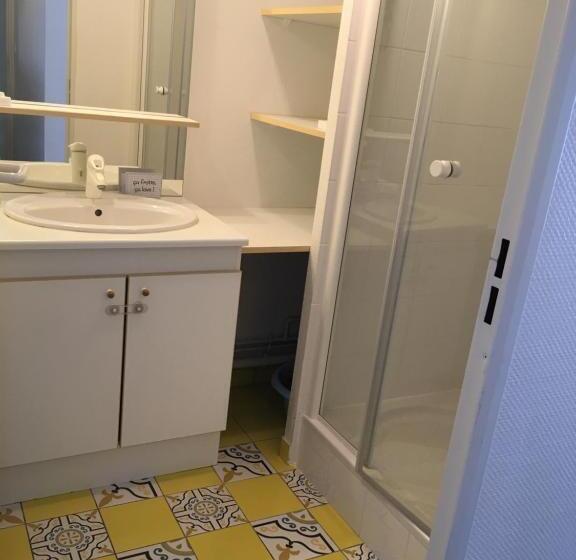 Апартаменты Дюплекс 1 Спальня, Duplex Residence D Orléans