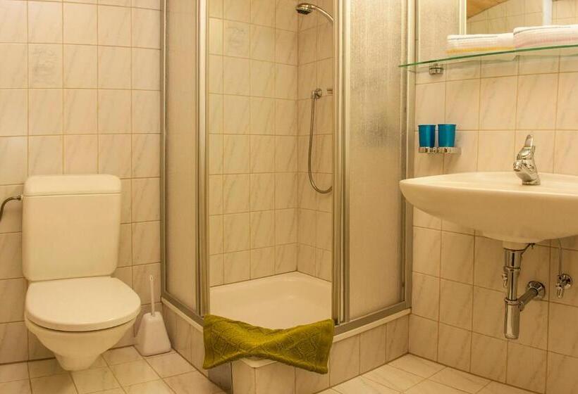 Номер Стандарт, Frühstückspension & Ferienhaus Fädnerspitze