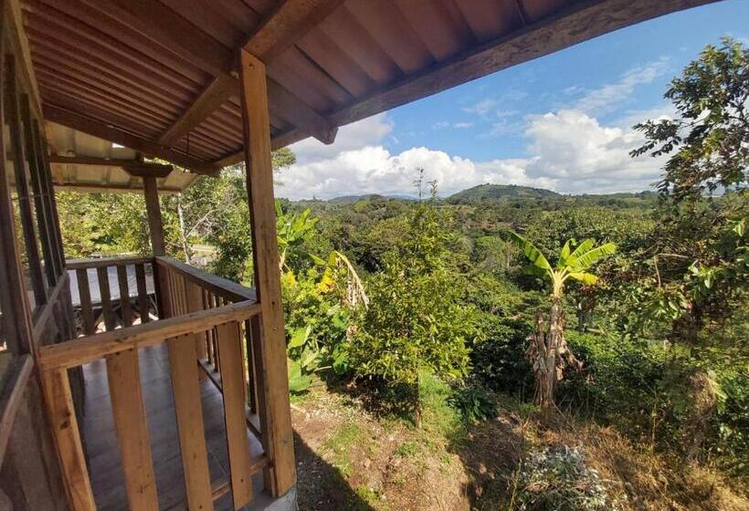 Семейное Бунгало, Hostal Pachamama