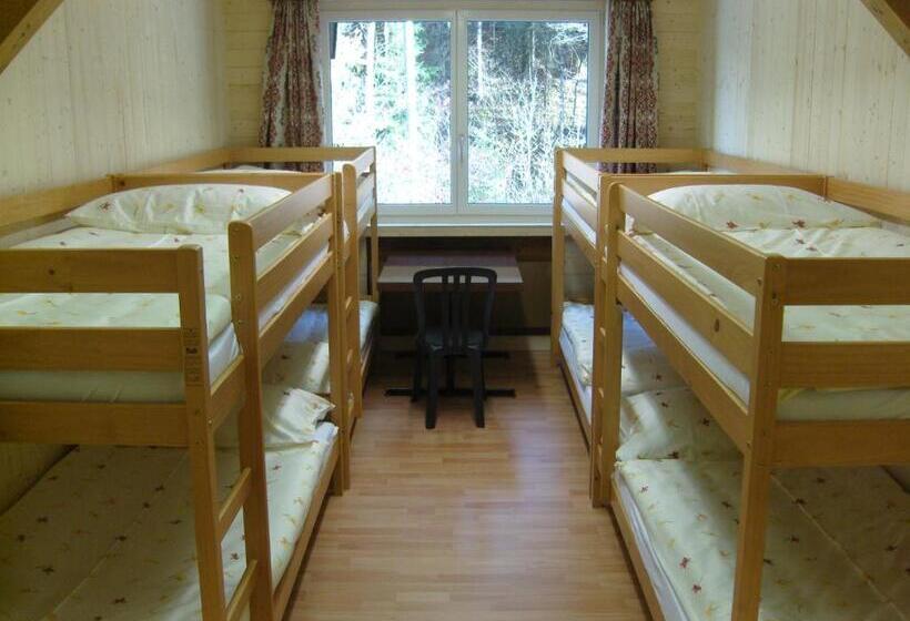 Кровать в Общей Комнате, Vista Resort Hostel