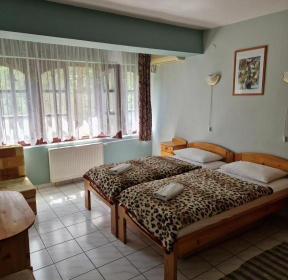 Номер Стандарт, Róza Hotel és Apartmanház