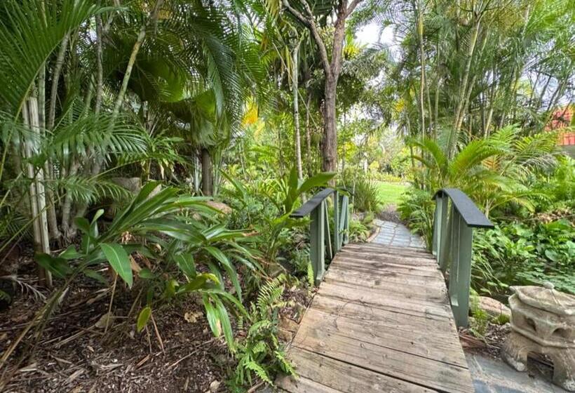 수피리어 스튜디오, Magnetic Island Resort Studio