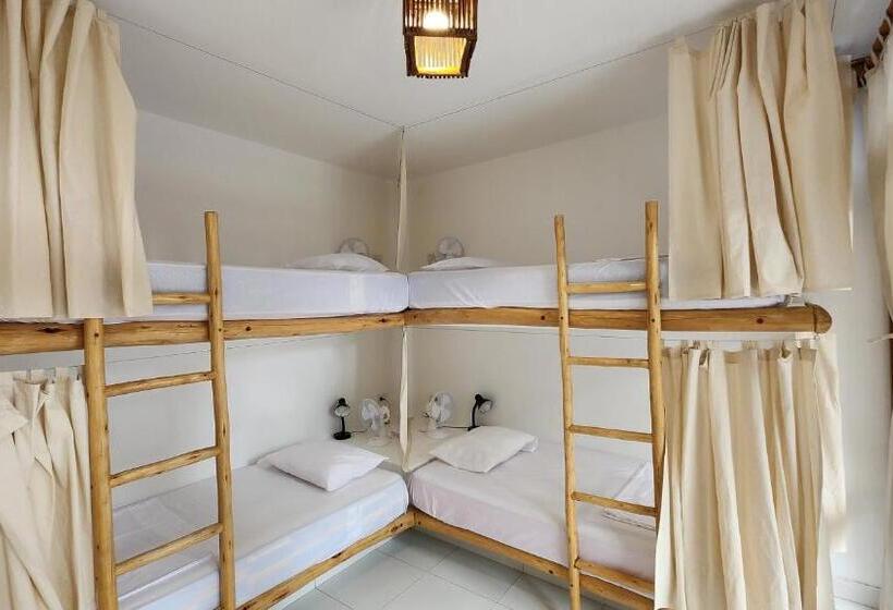 מיטה בחדר משותף, Kinti Guest House