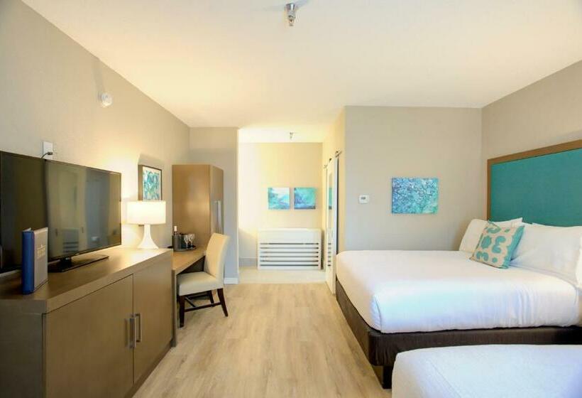 Номер Стандарт, Beachview Club