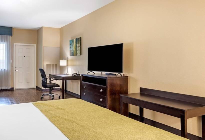 Люкс Вид на Море, Best Western Plus Galveston Suites