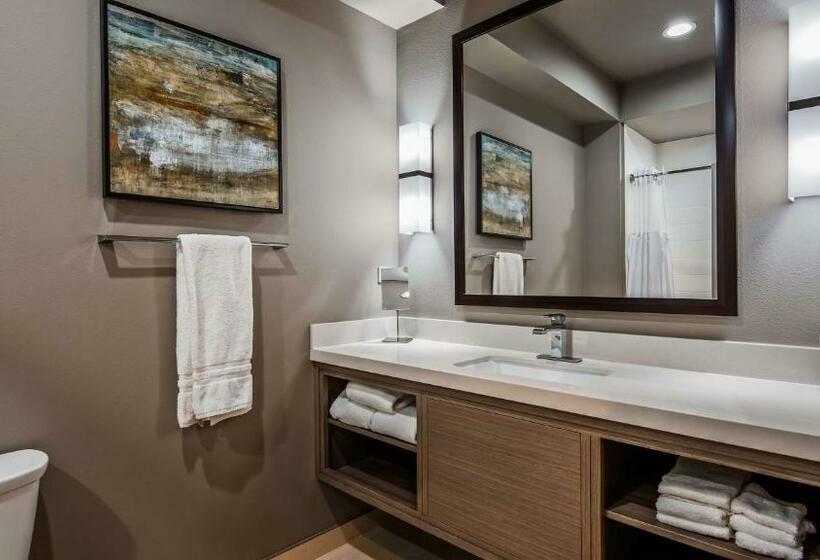 Номер Стандарт, Wyndham Garden Katy Energy Corridor