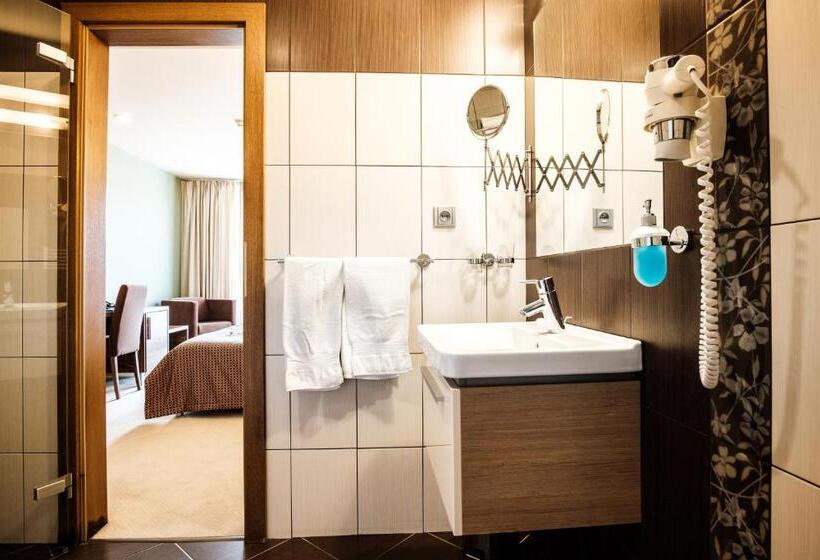 컴포트 싱글 룸, Comfort With Free Wellness And Fitness Centrum