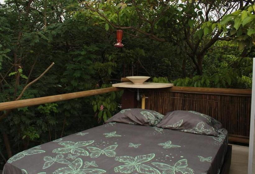 스탠다드 룸 산 전망, Bio Coliving Tayrona