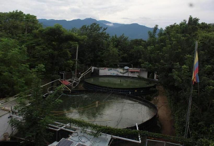 스탠다드 스튜디오 킹침대, Bio Coliving Tayrona