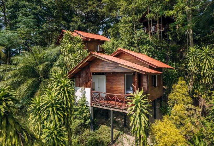Бунгало Стандарт, The Source Yoga And Nature Retreat Koh Phangan