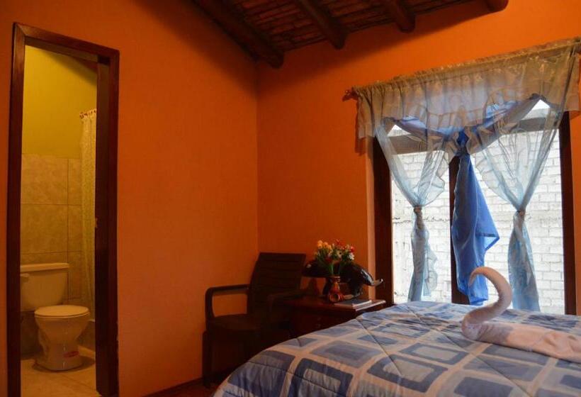اتاق لوکس, Hostal Conejito