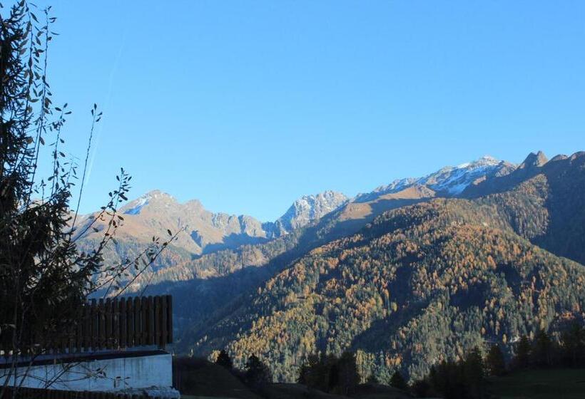 اتاق استاندارد یک نفره, Haus Brigitte