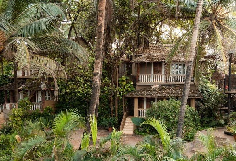 标准平房, Anahata Retreat Ashvem Goa