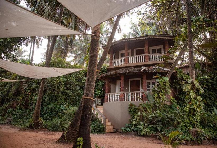 标准平房, Anahata Retreat Ashvem Goa