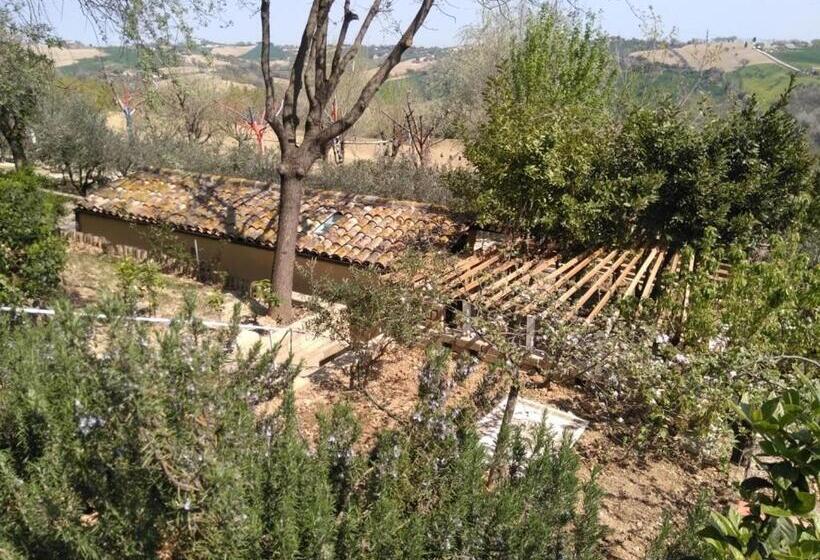 استودیو خانوادگی, Casale Barbagianni