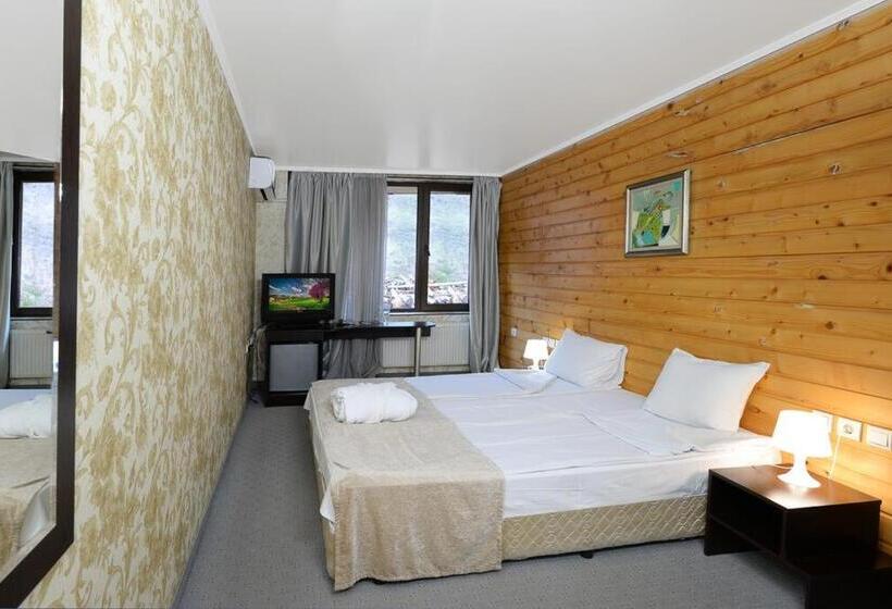 Номер Стандарт с Балконом, Spa Hotel Select   Halfboard