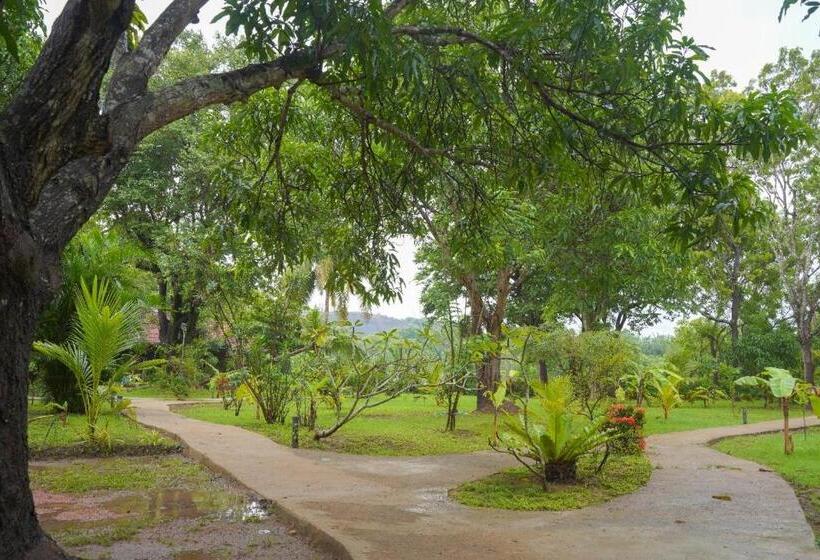 标准间, Sigiriya Cottage