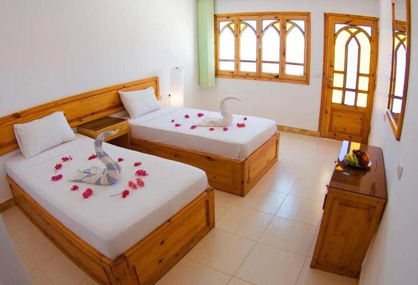 Номер Стандарт, Sun Beach Hotel Safaga