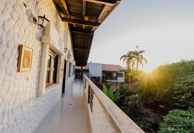 اتاق استاندارد, Rancho Regis
