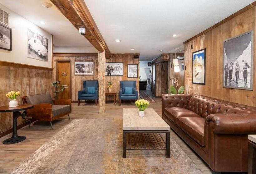 Люкс Повышенной Комфортности, Grey Bonnet Inn