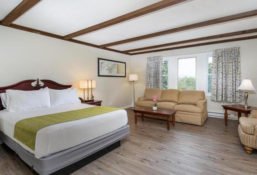 Люкс Повышенной Комфортности, Grey Bonnet Inn