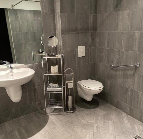Номер Стандарт Адаптированный для Инвалидов, L Auberge Du Rhone